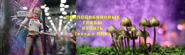 гашик Алзамай